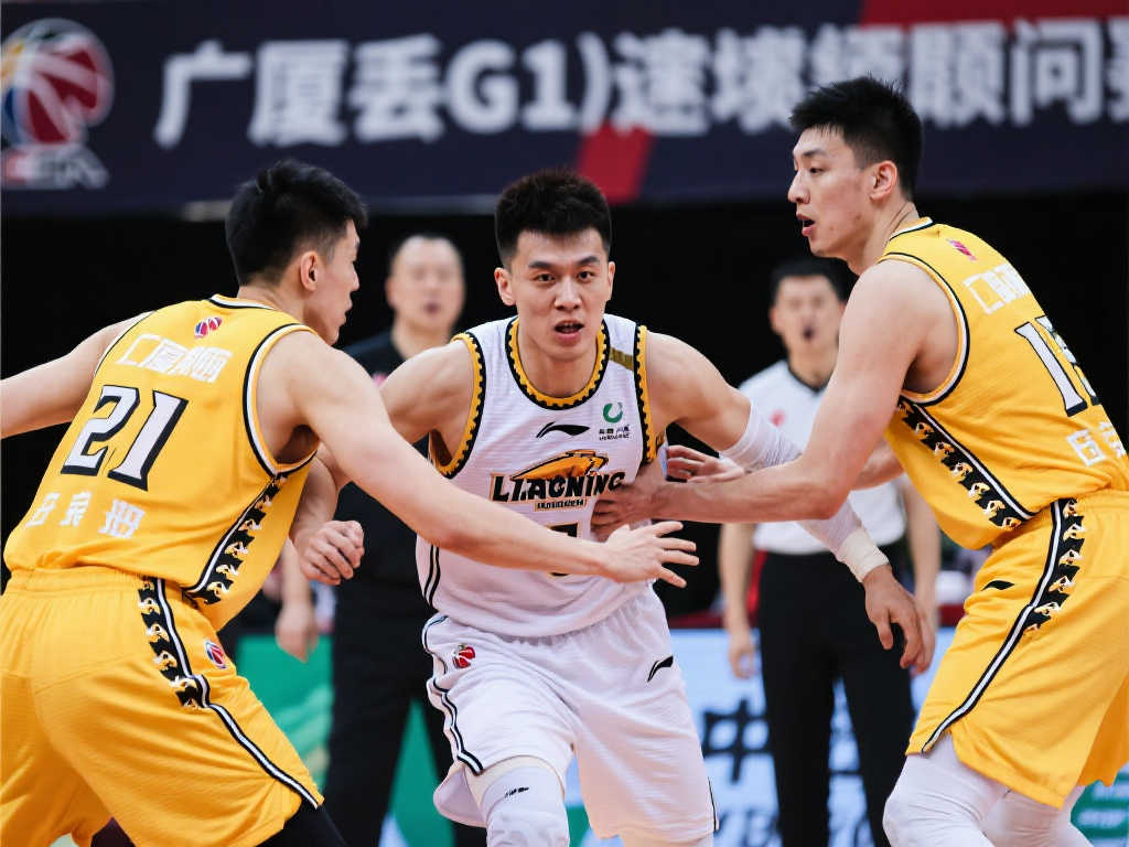 进一步完善 进一步完善